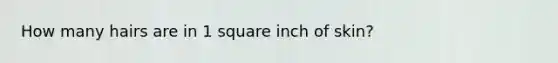 How many hairs are in 1 square inch of skin?