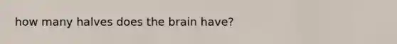 how many halves does the brain have?