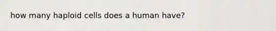 how many haploid cells does a human have?