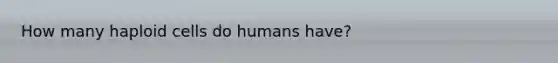 How many haploid cells do humans have?