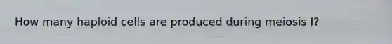 How many haploid cells are produced during meiosis I?