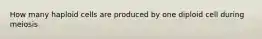 How many haploid cells are produced by one diploid cell during meiosis