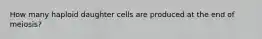 How many haploid daughter cells are produced at the end of meiosis?