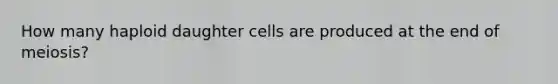 How many haploid daughter cells are produced at the end of meiosis?