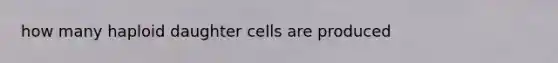 how many haploid daughter cells are produced