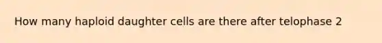 How many haploid daughter cells are there after telophase 2