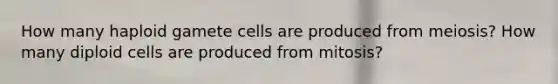 How many haploid gamete cells are produced from meiosis? How many diploid cells are produced from mitosis?