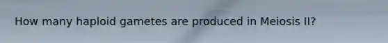 How many haploid gametes are produced in Meiosis II?