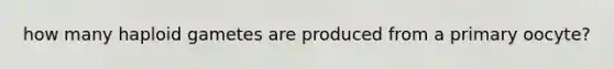 how many haploid gametes are produced from a primary oocyte?