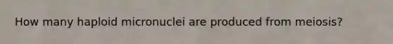 How many haploid micronuclei are produced from meiosis?