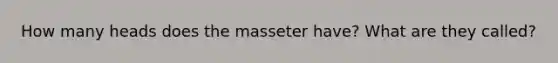 How many heads does the masseter have? What are they called?