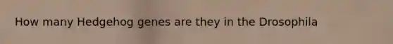 How many Hedgehog genes are they in the Drosophila