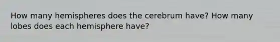 How many hemispheres does the cerebrum have? How many lobes does each hemisphere have?