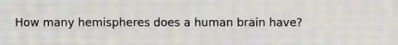 How many hemispheres does a human brain have?