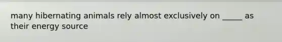 many hibernating animals rely almost exclusively on _____ as their energy source
