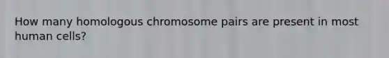 How many homologous chromosome pairs are present in most human cells?