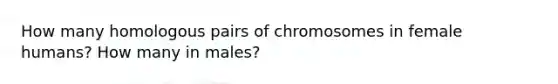 How many homologous pairs of chromosomes in female humans? How many in males?