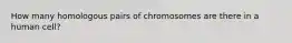 How many homologous pairs of chromosomes are there in a human cell?