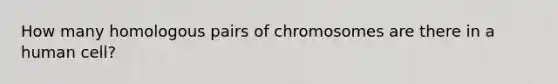 How many homologous pairs of chromosomes are there in a human cell?