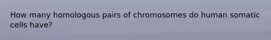 How many homologous pairs of chromosomes do human somatic cells have?