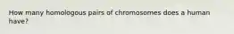 How many homologous pairs of chromosomes does a human have?