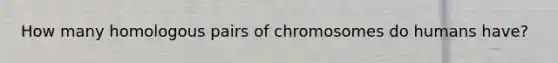 How many homologous pairs of chromosomes do humans have?