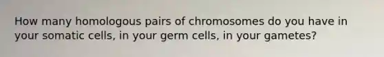 How many homologous pairs of chromosomes do you have in your somatic cells, in your germ cells, in your gametes?