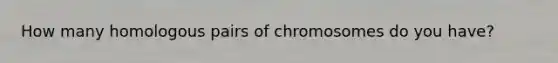 How many homologous pairs of chromosomes do you have?