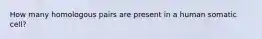How many homologous pairs are present in a human somatic cell?