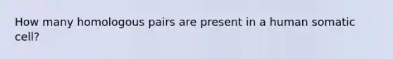 How many homologous pairs are present in a human somatic cell?