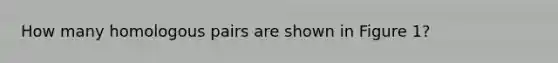 How many homologous pairs are shown in Figure 1?