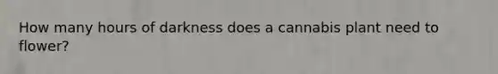 How many hours of darkness does a cannabis plant need to flower?