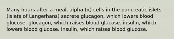 Many hours after a meal, alpha (α) cells in the pancreatic islets (islets of Langerhans) secrete glucagon, which lowers blood glucose. glucagon, which raises blood glucose. insulin, which lowers blood glucose. insulin, which raises blood glucose.