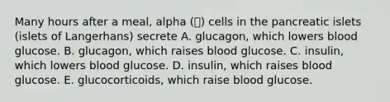 Many hours after a meal, alpha () cells in the pancreatic islets (islets of Langerhans) secrete A. glucagon, which lowers blood glucose. B. glucagon, which raises blood glucose. C. insulin, which lowers blood glucose. D. insulin, which raises blood glucose. E. glucocorticoids, which raise blood glucose.