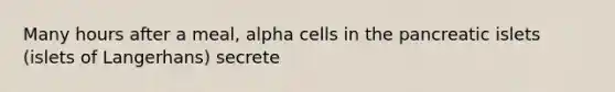 Many hours after a meal, alpha cells in the pancreatic islets (islets of Langerhans) secrete