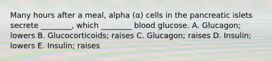 Many hours after a meal, alpha (α) cells in the pancreatic islets secrete ________, which ________ blood glucose. A. Glucagon; lowers B. Glucocorticoids; raises C. Glucagon; raises D. Insulin; lowers E. Insulin; raises