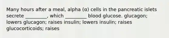 Many hours after a meal, alpha (α) cells in the pancreatic islets secrete _________, which _________ blood glucose. glucagon; lowers glucagon; raises insulin; lowers insulin; raises glucocorticoids; raises