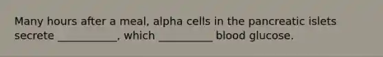 Many hours after a meal, alpha cells in the pancreatic islets secrete ___________, which __________ blood glucose.