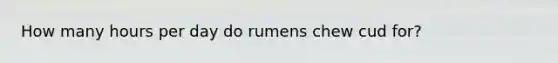 How many hours per day do rumens chew cud for?