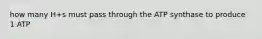 how many H+s must pass through the ATP synthase to produce 1 ATP
