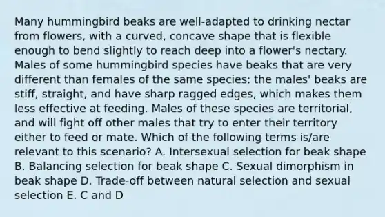 Many hummingbird beaks are well-adapted to drinking nectar from flowers, with a curved, concave shape that is flexible enough to bend slightly to reach deep into a flower's nectary. Males of some hummingbird species have beaks that are very different than females of the same species: the males' beaks are stiff, straight, and have sharp ragged edges, which makes them less effective at feeding. Males of these species are territorial, and will fight off other males that try to enter their territory either to feed or mate. Which of the following terms is/are relevant to this scenario? A. Intersexual selection for beak shape B. Balancing selection for beak shape C. Sexual dimorphism in beak shape D. Trade-off between <a href='https://www.questionai.com/knowledge/kAcbTwWr3l-natural-selection' class='anchor-knowledge'>natural selection</a> and sexual selection E. C and D