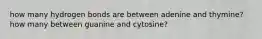 how many hydrogen bonds are between adenine and thymine? how many between guanine and cytosine?