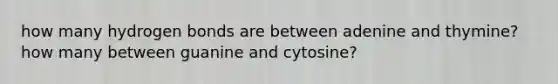 how many hydrogen bonds are between adenine and thymine? how many between guanine and cytosine?