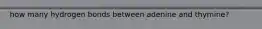 how many hydrogen bonds between adenine and thymine?