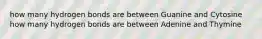 how many hydrogen bonds are between Guanine and Cytosine how many hydrogen bonds are between Adenine and Thymine