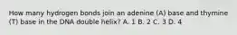 How many hydrogen bonds join an adenine (A) base and thymine (T) base in the DNA double helix? A. 1 B. 2 C. 3 D. 4
