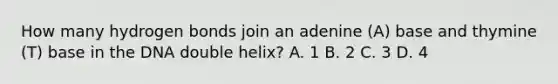 How many hydrogen bonds join an adenine (A) base and thymine (T) base in the DNA double helix? A. 1 B. 2 C. 3 D. 4