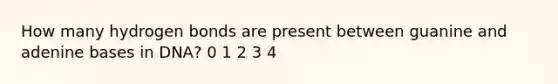 How many hydrogen bonds are present between guanine and adenine bases in DNA? 0 1 2 3 4