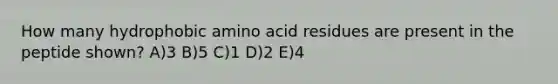 How many hydrophobic amino acid residues are present in the peptide shown? A)3 B)5 C)1 D)2 E)4