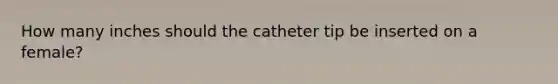 How many inches should the catheter tip be inserted on a female?